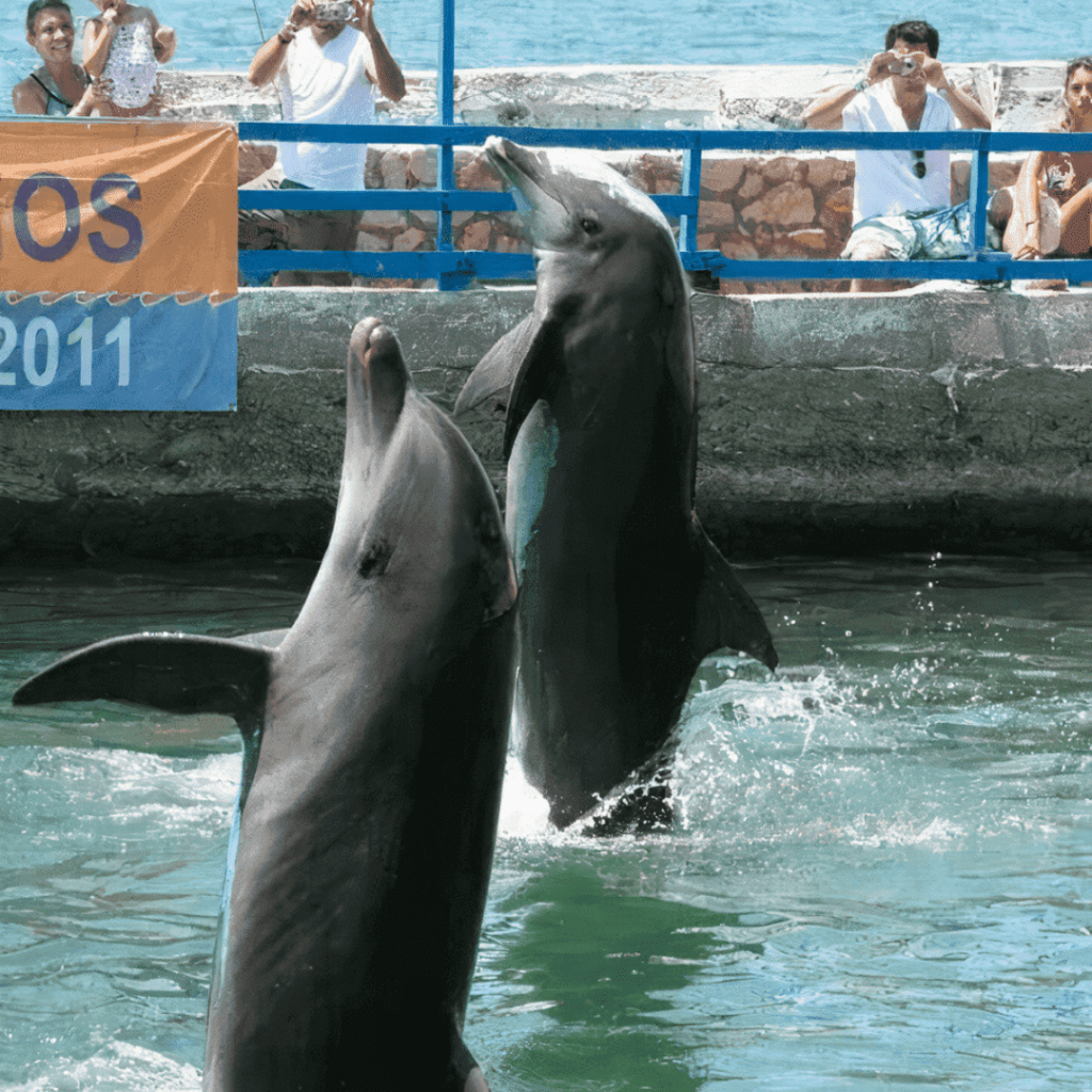 Acuario Rodadero Santa Marta